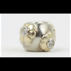 Retired Authentic Pandora two tone Charm
